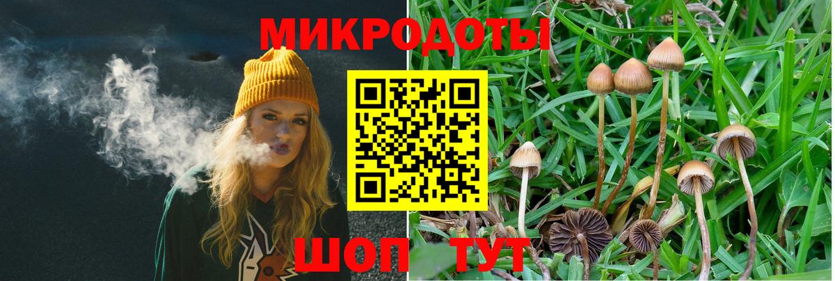 Кировск  Галлюциногенные грибы Psilocybe  Вход с VPN 