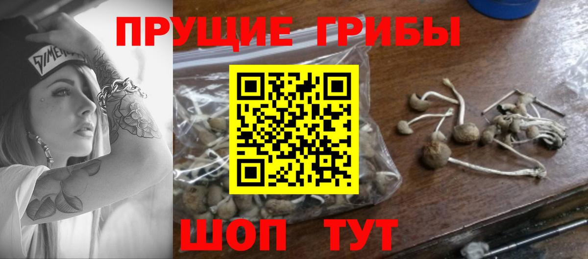 Псилоцибиновые грибы ЛСД Кировск
